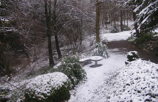 Nature Escape in Bohon - Photo 21