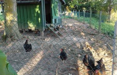 Gîte Au Bord de la Baie de Somme - Foto 27