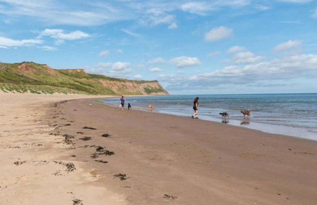 Cove Hideaway 1bhk Apt in Skinningrove - Foto 11