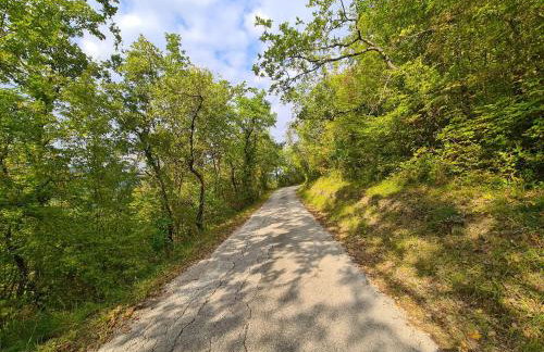 Villa Motovun 2129 - Foto 59