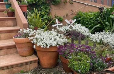 Apartamentos Rovi - Foto 20