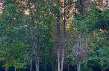 Paradise Meadows Farmhouse - Foto 26