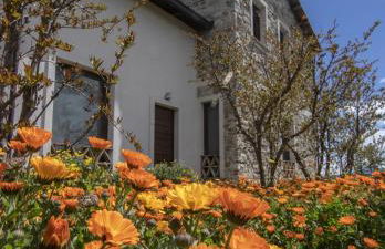 Agriturismo Cignale della Società Agricola Cignale srl - Foto 71