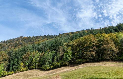Gasthaus Zur Linde- Napf - Foto 11
