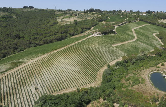 Agriturismo Villa Ulivello in Chianti - Foto 117