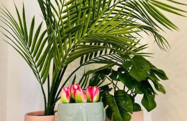 Color & Design next to Russafa SOHO - Photo 13