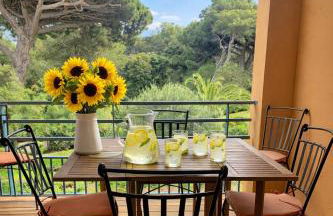 LA BADINE Accés direct à la plage clim balnéo piscine - Foto 1