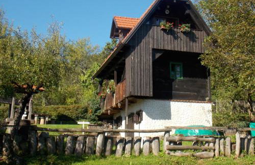 Country House Etno Kuca pod Okicem - Foto 41