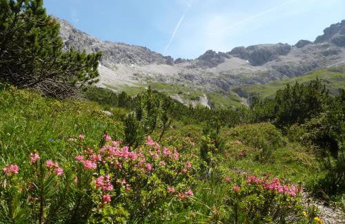 Ferienwohnung Lisi Hartmann - Foto 33