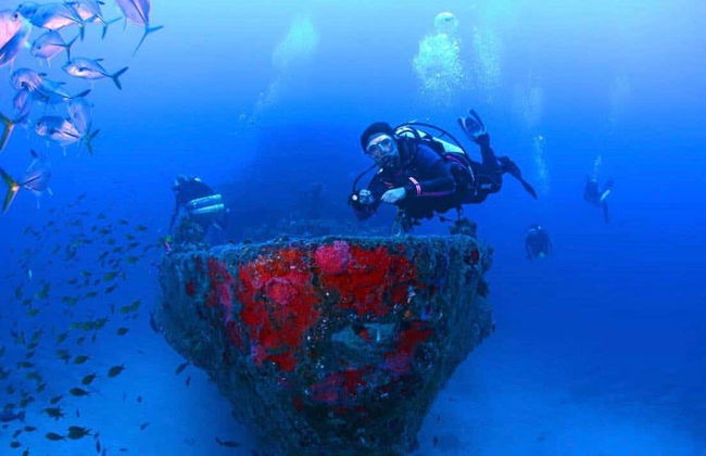 Immersione a Fernando de Noronha - Foto 6