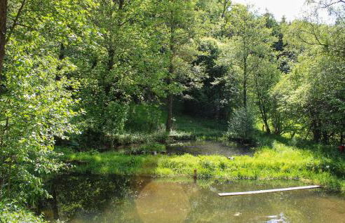 Pet Friendly Apartment - Foto 21