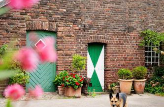 Kunst & Wohnen auf dem Bauernhof - Foto 2