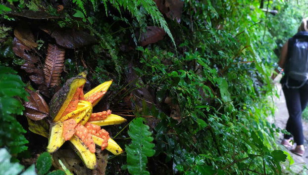 Mindo Day Trip - Foto 3