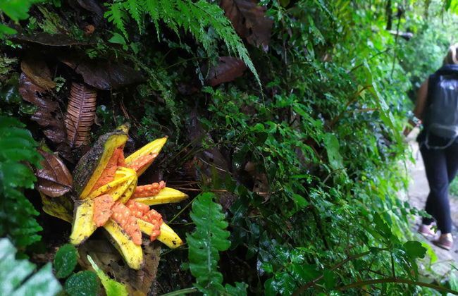 Mindo Day Trip - Photo 5