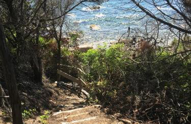 Domaine de la Coletta Maison traditionnelle - Photo 15