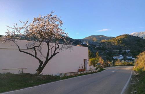 Finca el Almendro Archez - Foto 24