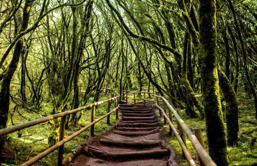 Casa Rural El Arenal - Foto 66