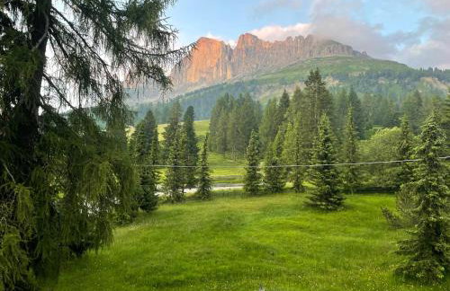 Splendida Carezza - Foto 6
