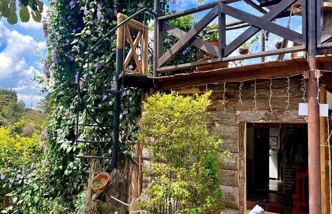 finca hotel zona 7 - Photo 67