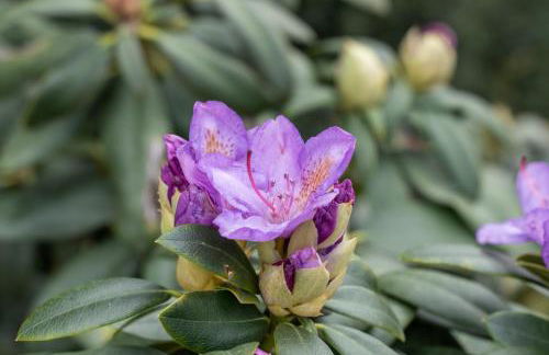 Agriturismo Pozzo Fiorito - Foto 77