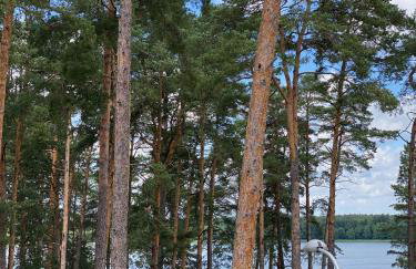 Apartament Meralia - Foto 17