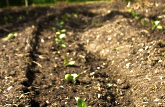 Agriturismo Sa Tanca - Photo 28