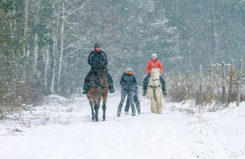 Kolorowe Wzgórze agroturystyka i konie - Foto 25