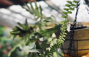 Casa do Largo da Fogueira - Foto 64