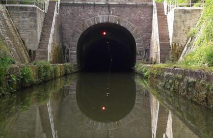 Chez les Loulous - Foto 12