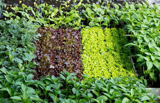 Agriturismo Arte Contadina - Photo 29