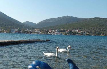 Vitamin Sea house - Foto 20