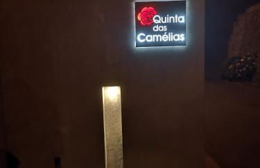 Quinta das Camélias - Açores - Photo 40