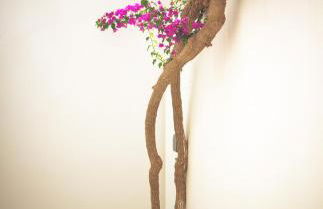 Casa Marlene - Foto 28