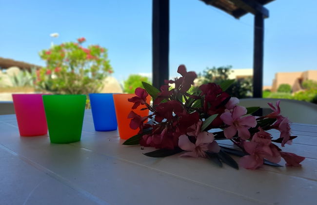 Case Vacanza Castello di Gallura - Foto 27