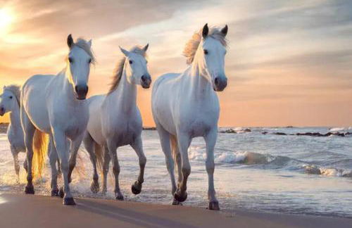 LE TOLOSANA - Appartement 4 personnes - Centre WiFi Cosy - Foto 33