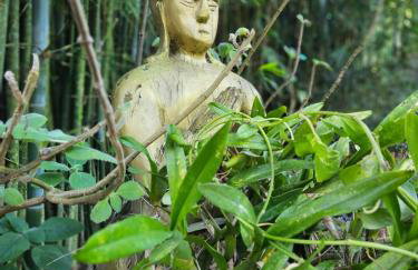 100mts beach Ribeirão da Ilha c Espaço Gourmet - Foto 15