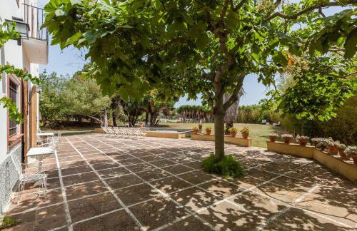 Masia Sant Miquel - Foto 35