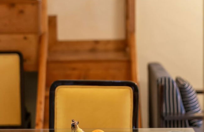 BluSalzz Villas - The Pine Tree, Dalhousie - Himachal Pradesh - Foto 18