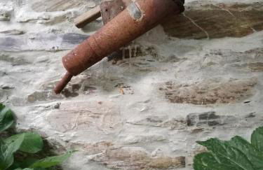 O Ze Ja Dormiu Aqui - Foto 40