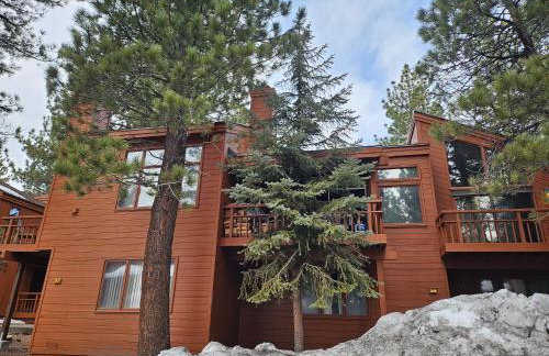 Updated Mammoth condo on Red line - Photo 2