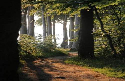 Peaceful Escape in Neu Karin - Foto 70