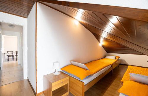 Uno Due Tre Stella - Foto 14