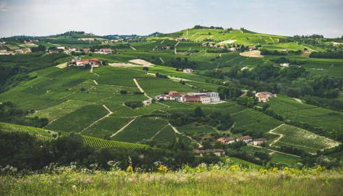 Agriturismo Dacapo - Foto 3