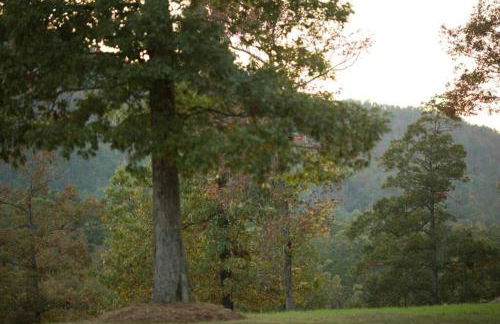 Stonehill Cottages - Foto 10