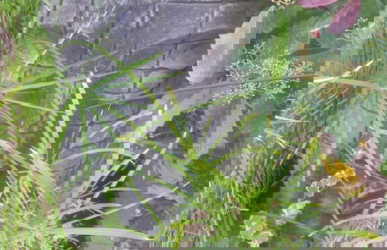 Villa Boutique Banus - Foto 78