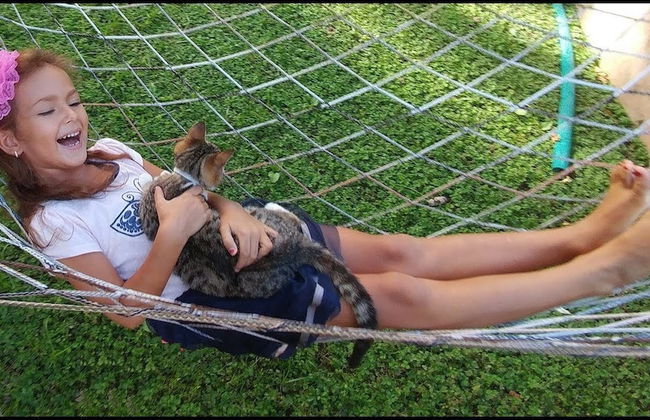 Sapanca Villa Natura Gol Evi - Foto 69