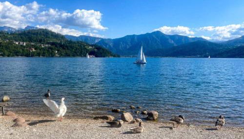 Apartment Harmony - Ischia - Lago di Caldonazzo - Foto 2