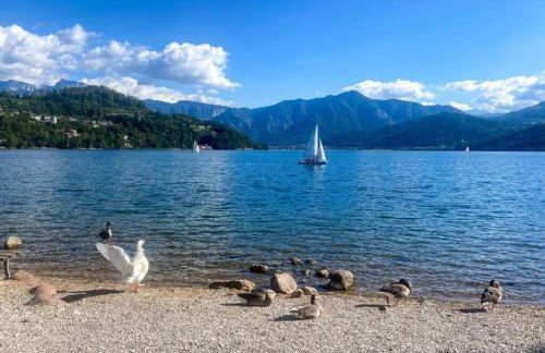 Apartment Harmony - Ischia - Lago di Caldonazzo - Foto 2