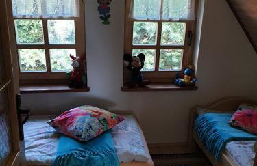 Błękitny Domek - Tleń - Bory Tucholskie - Foto 23