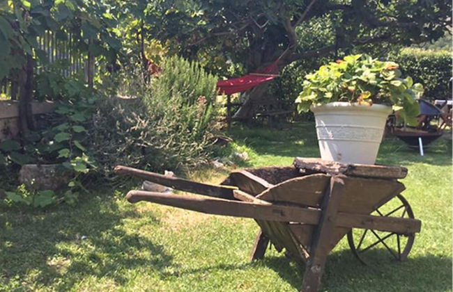 Campagna in Compagnia - Foto 36